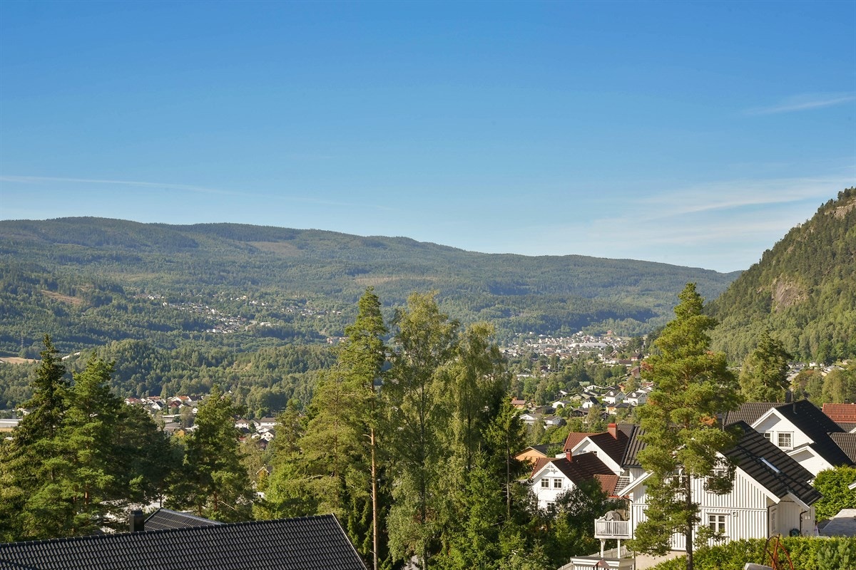 Utsikt fra boligen mot vest. Galleribilde