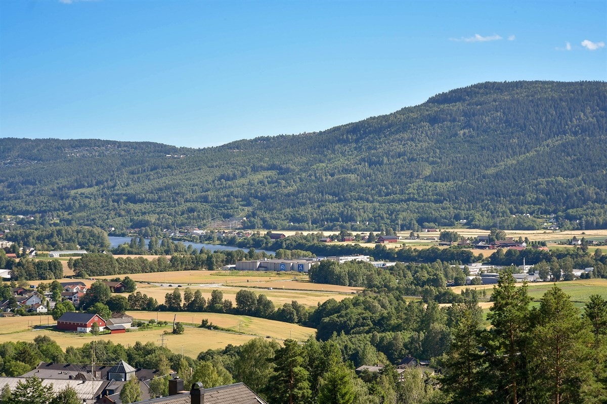 Utsikt. Galleribilde