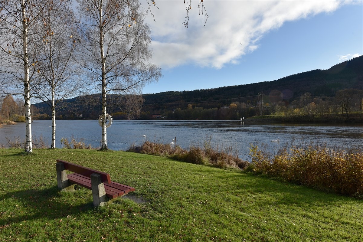 Ønsker du ytterligere servicetilbud er det kort vei til Gulskogen med 120 spennende butikker, eller til Drammen sentrum med kjøpesentre og gågater. Galleribilde