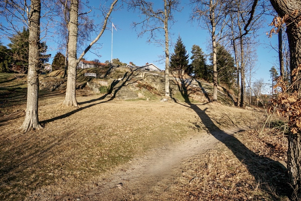 Ute Galleribilde