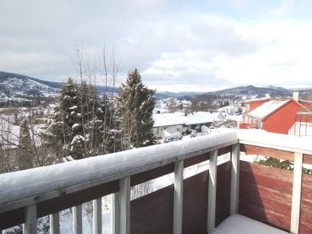 Utsikt nordvest Galleribilde