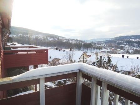 Utsikt sydvest Galleribilde