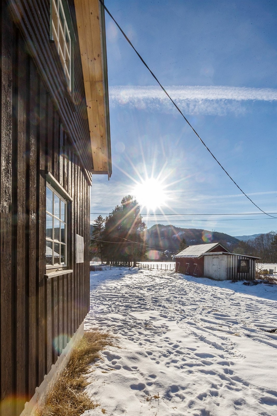 Uteområde Galleribilde