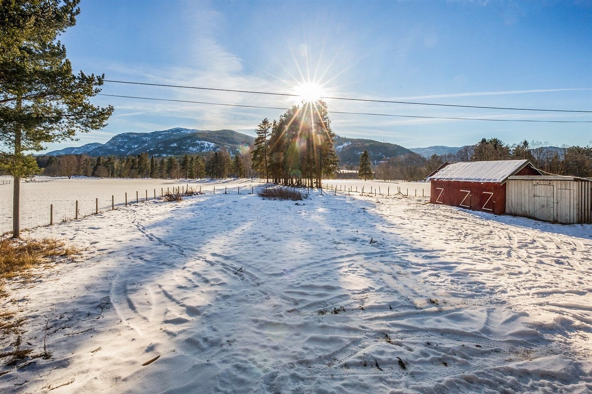 Uteområde Galleribilde
