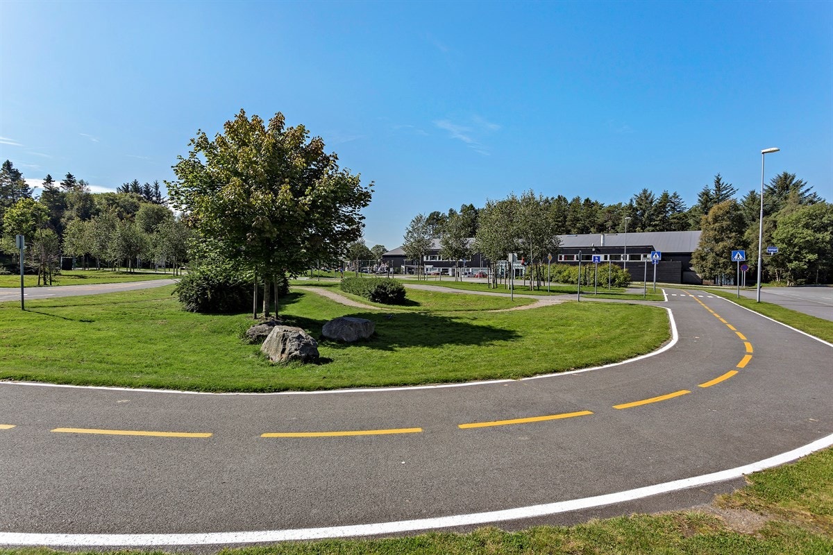 Svært gode bussforbindelser. Galleribilde