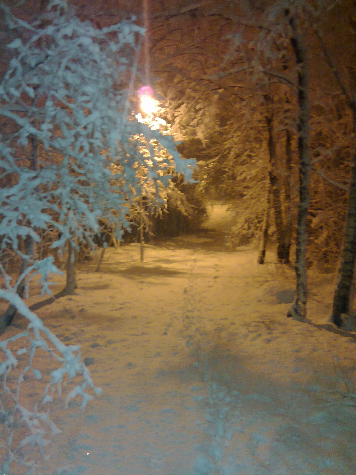 Turområde Galleribilde