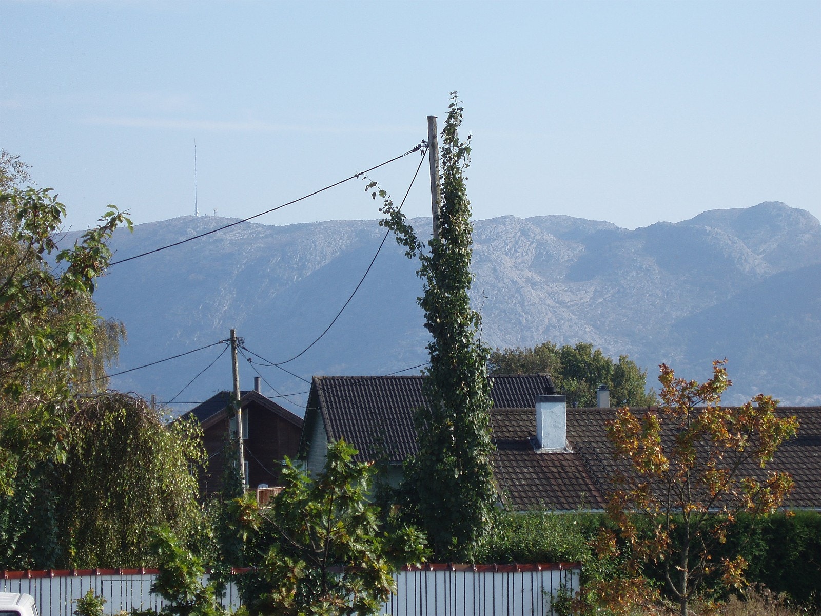 Turområde Galleribilde