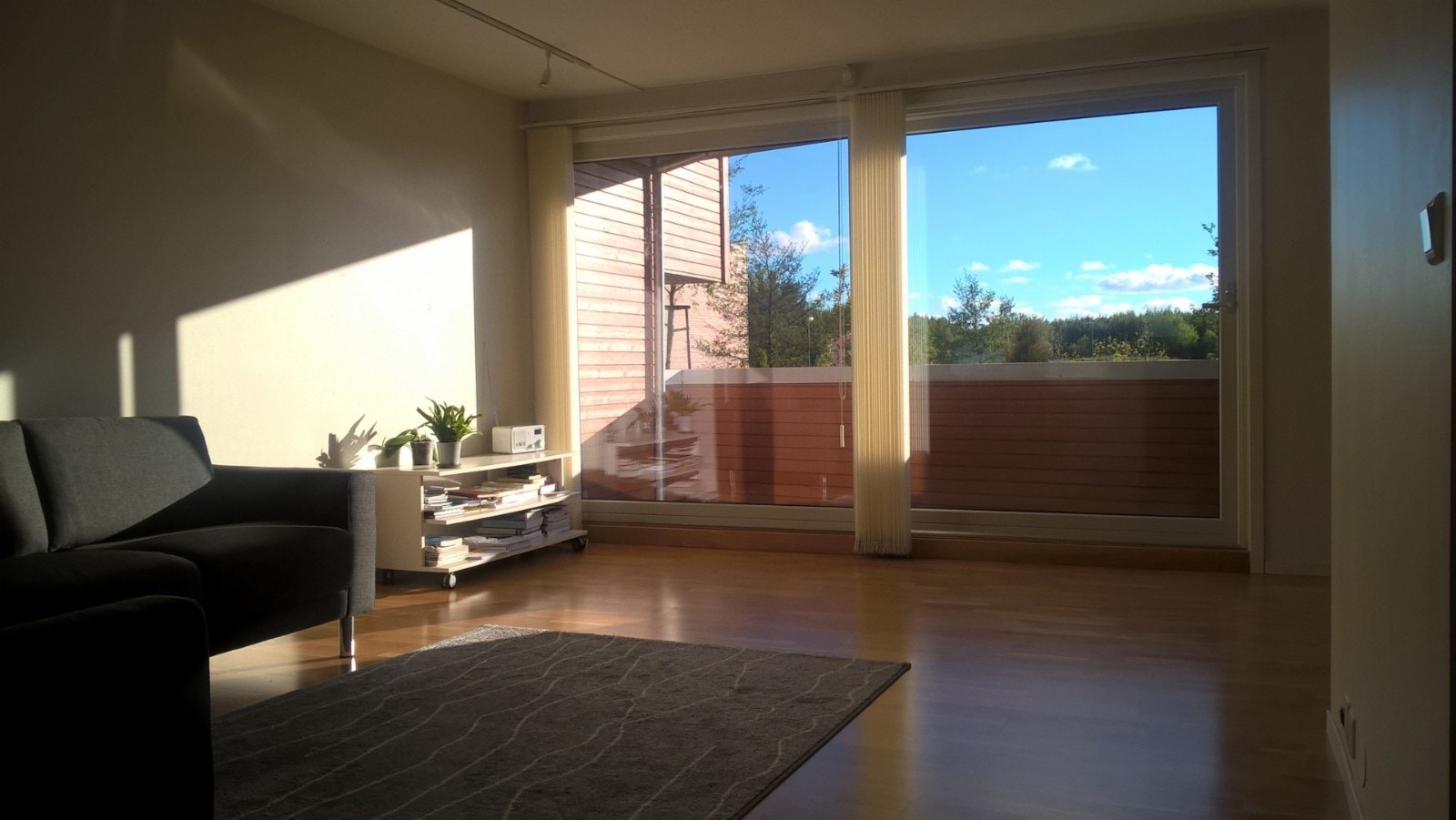 living room Galleribilde