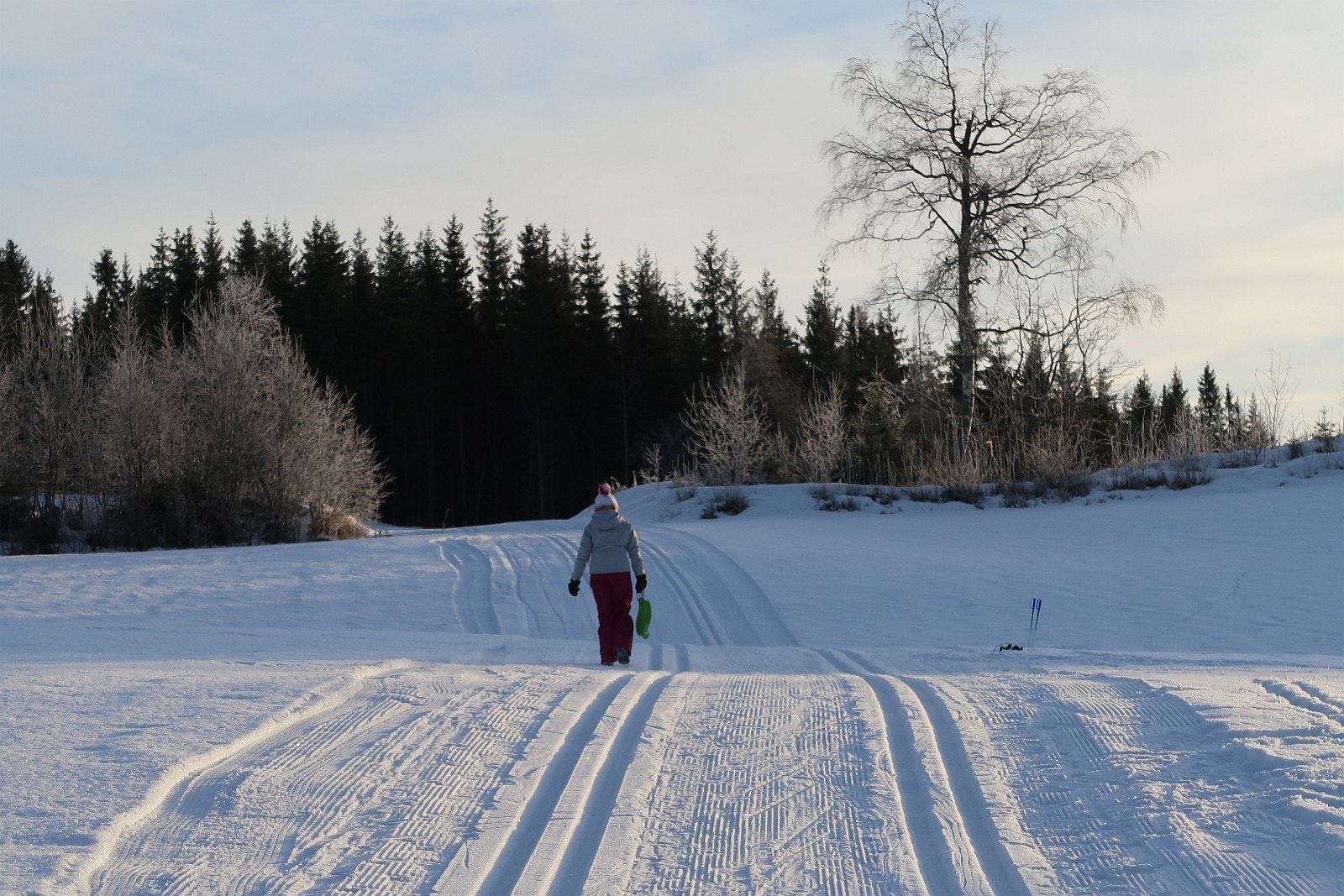 100m fra hytta Galleribilde