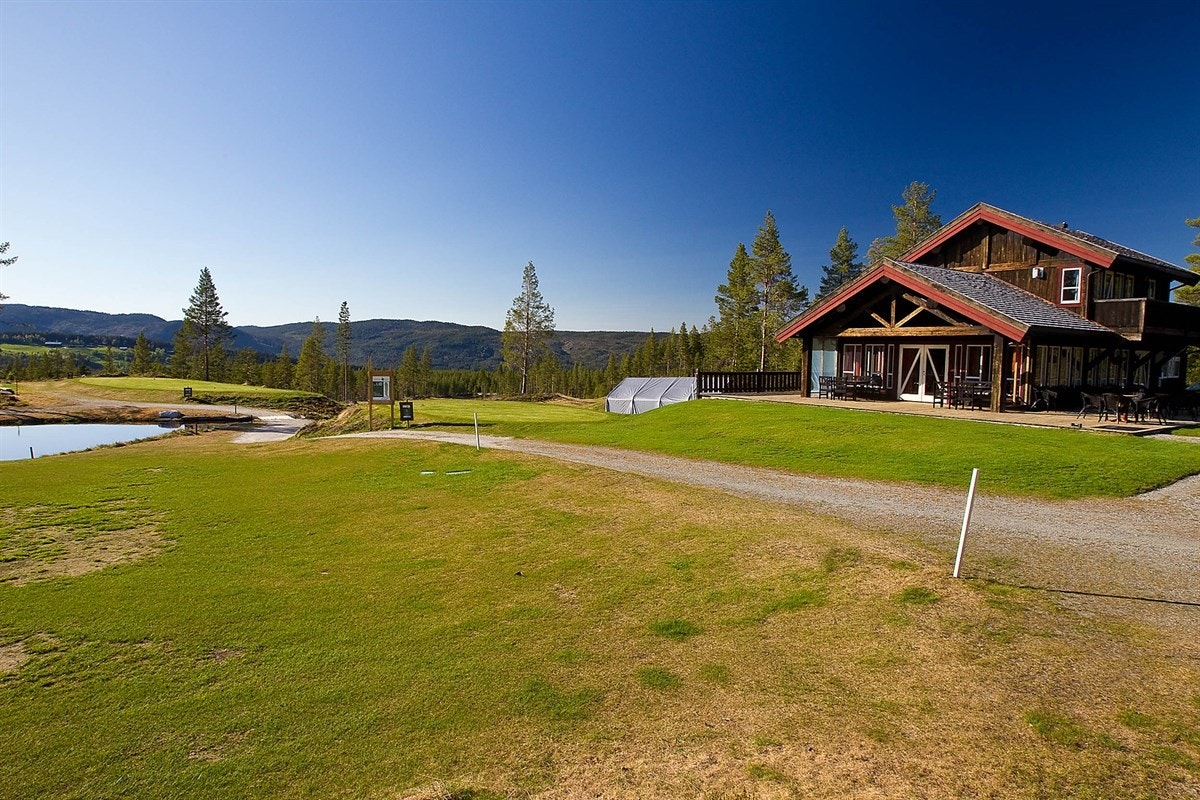 44_Annet_14 Galleribilde