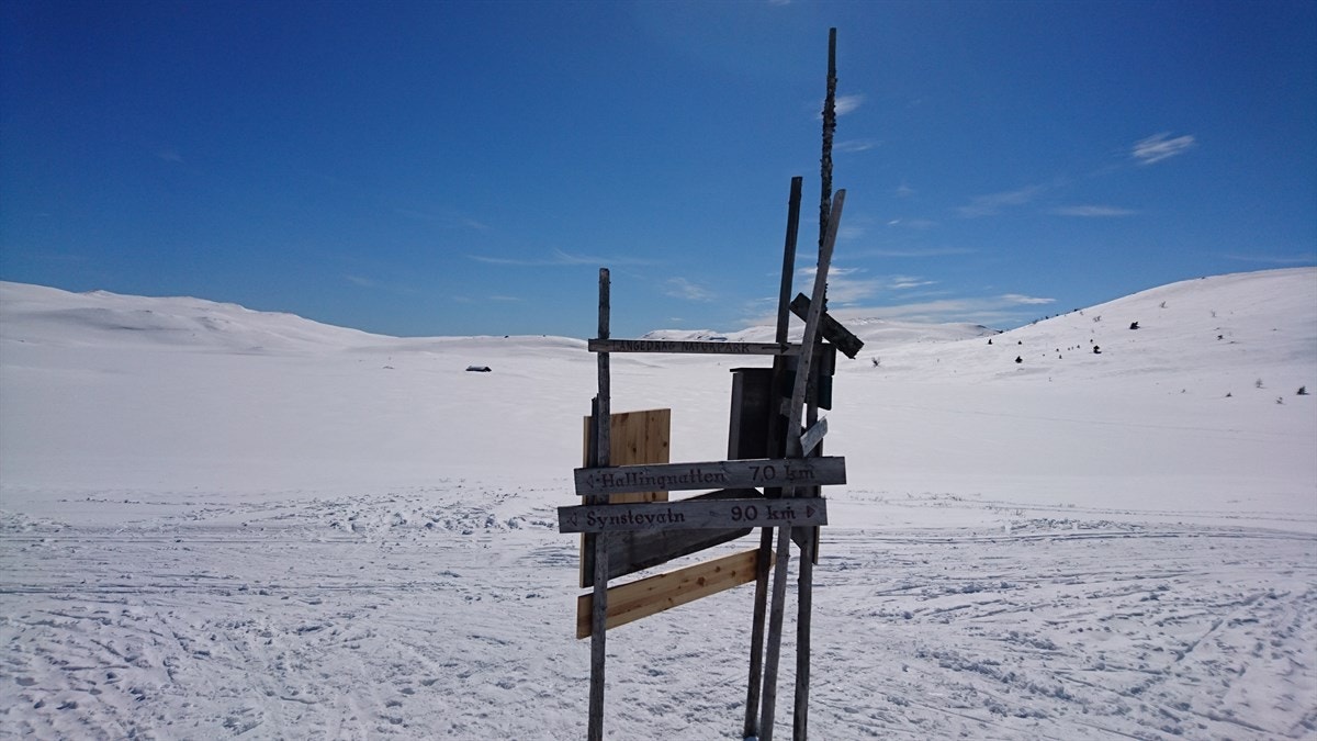 DSC_0448 Galleribilde