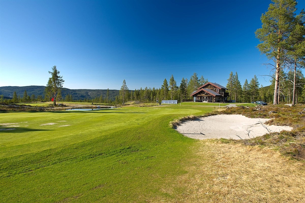 43_Annet_13 Galleribilde