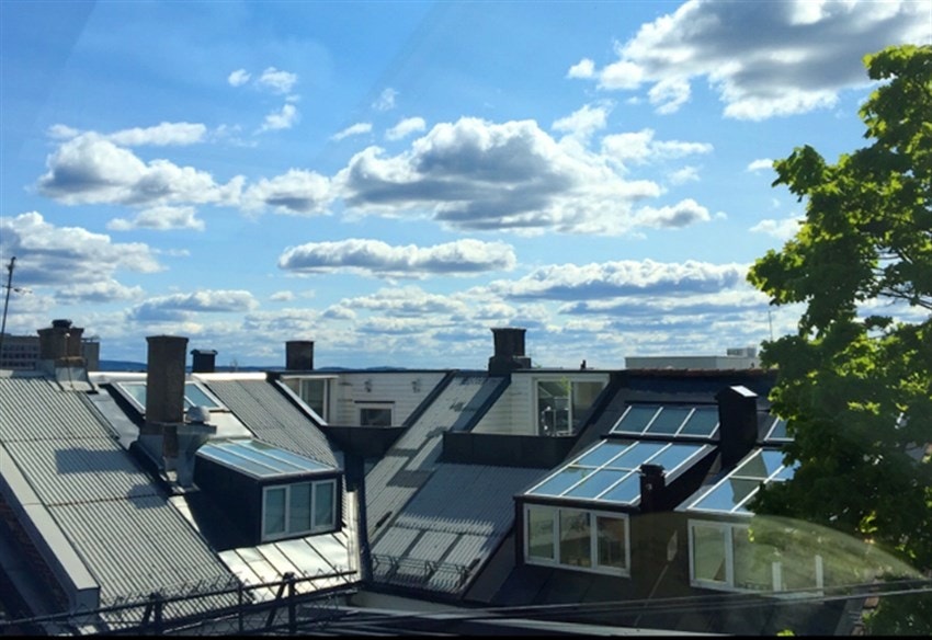 Sommerbilder fra selger Galleribilde