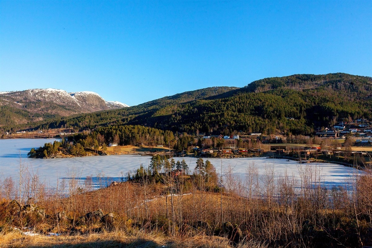 IMG_8859 Galleribilde