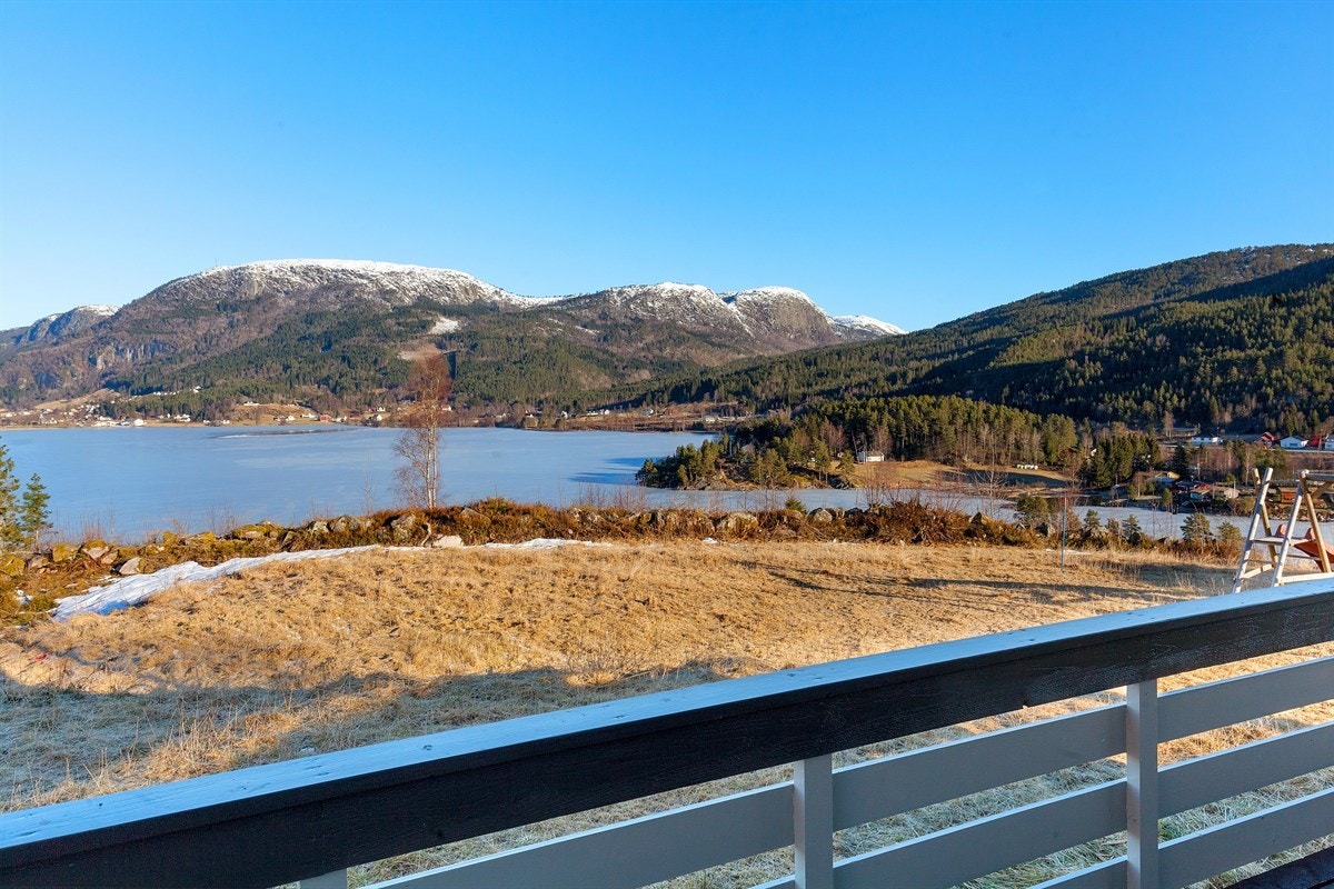 IMG_8891 Galleribilde