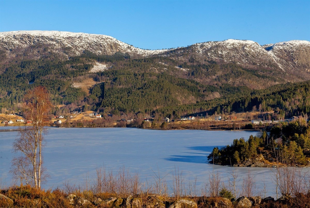 IMG_8849 Galleribilde