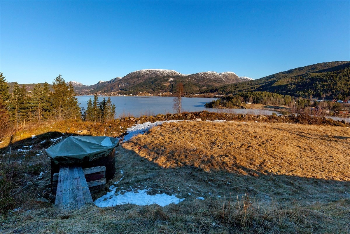 IMG_8894 Galleribilde