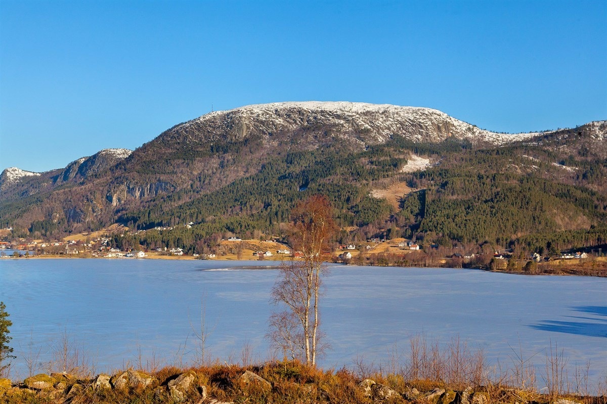 IMG_8846 Galleribilde