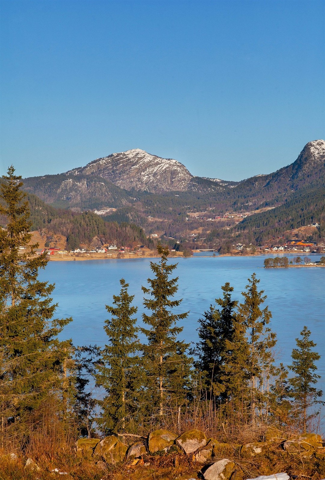 IMG_8837 Galleribilde