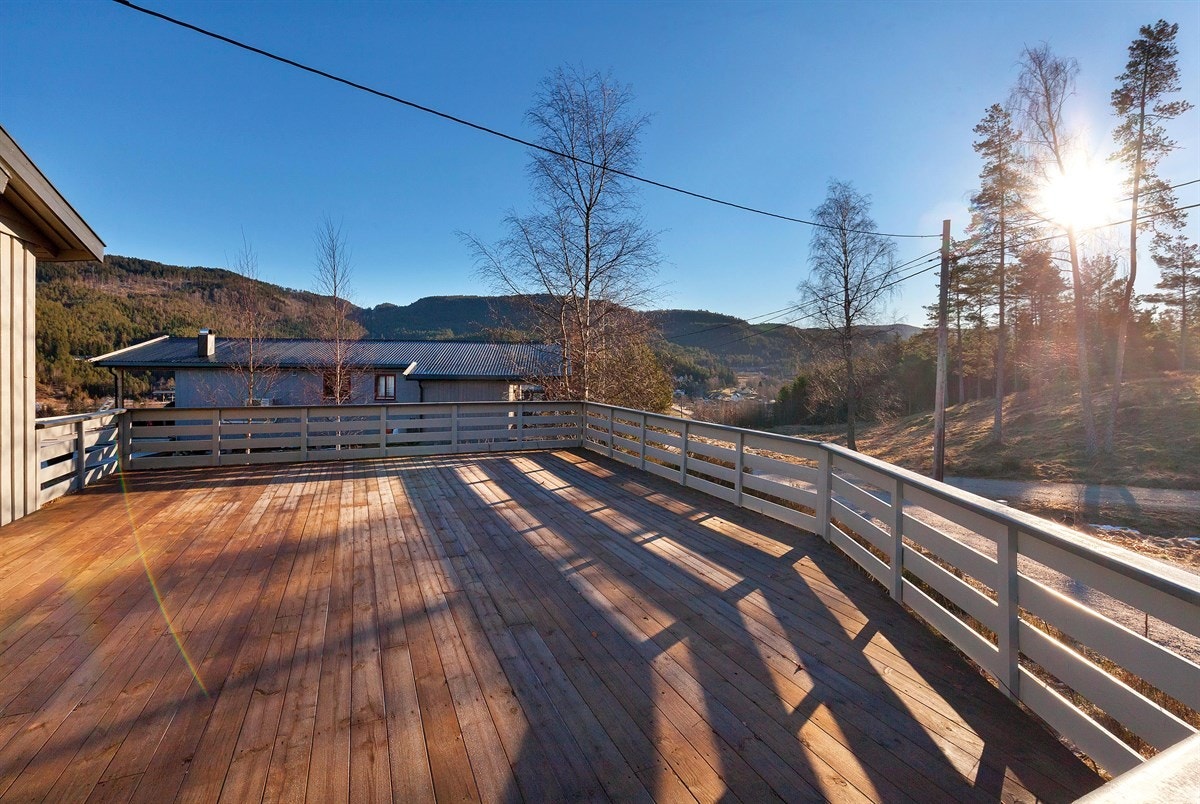 IMG_8915 Galleribilde