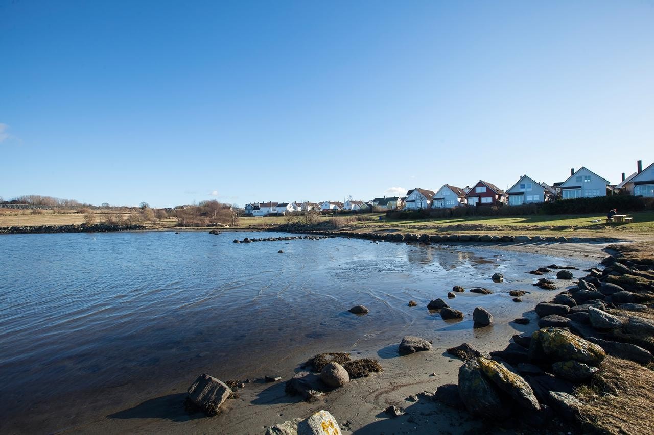 Nærområde Galleribilde