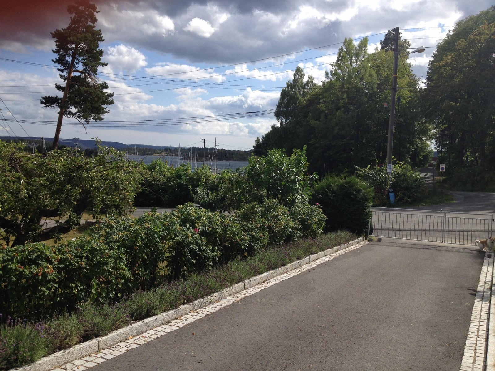 Utsikt fra inngangsparti - sjøen to minutter unna! Galleribilde