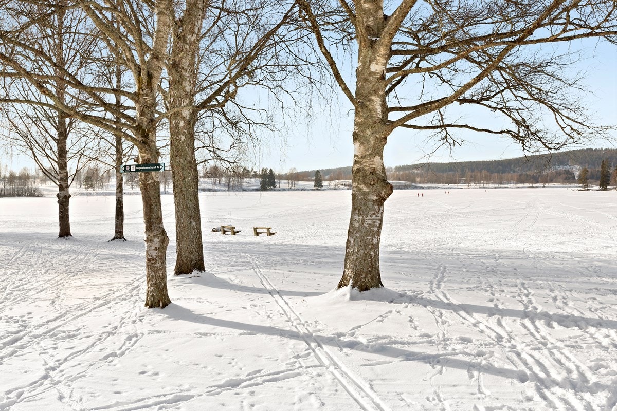 Fra Hovseterveien 84 er det kort vei til flotte tur- og rekreasjonsmuligheter Galleribilde