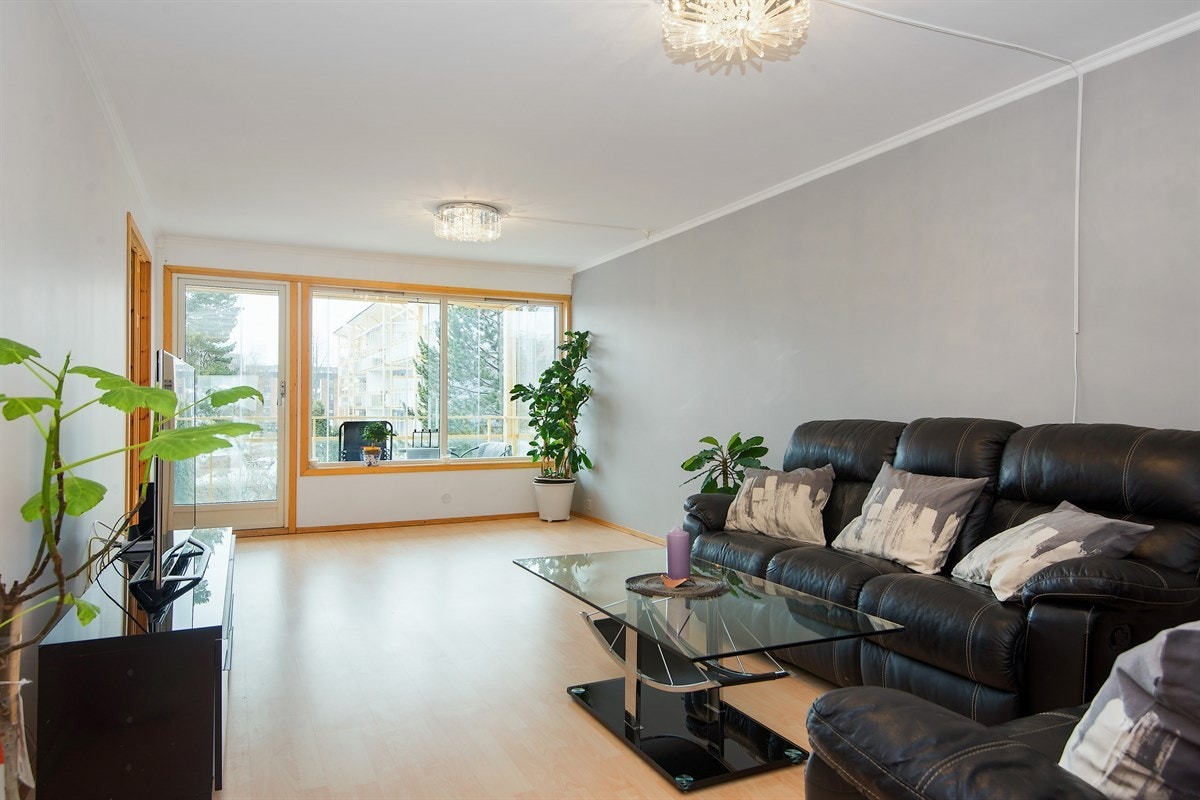 Hyggelig stue holdt i lyse farger med store vinduer som gir mye naturlig lys Galleribilde