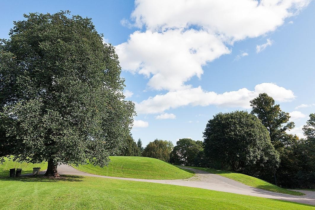 En idyllisk park å slappe av i på en varm sommerdag Galleribilde