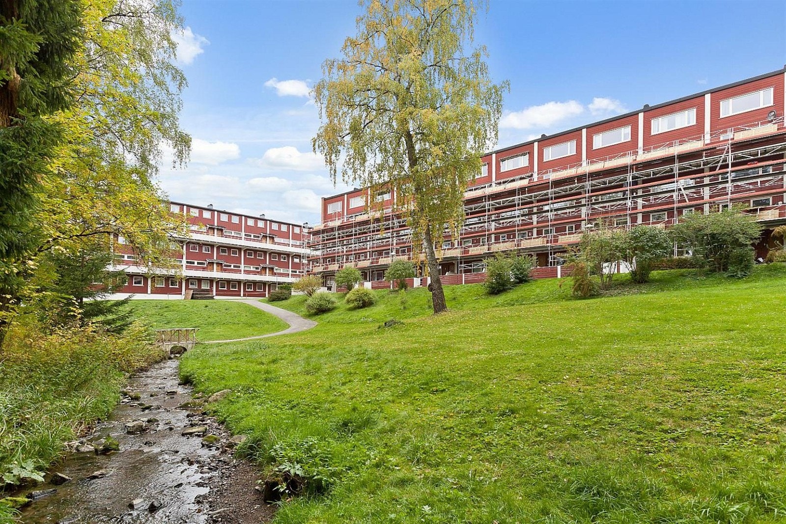Veitvet er en grønn lunge bare 15 minutter fra Oslo sentrum Galleribilde
