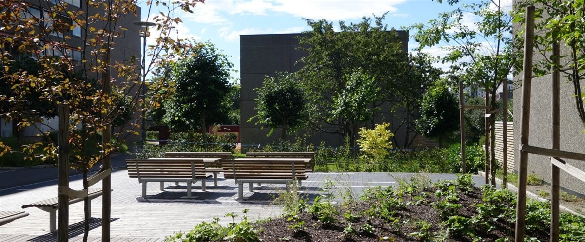 Flere sittegrupper på fellesarealene. Galleribilde