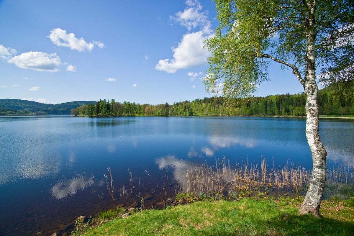 Bogstadvannet er i nærheten. Galleribilde