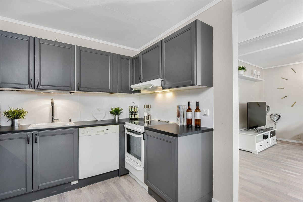 Videre har kjøkkenet frittstående komfyr med keramisk topp, oppvaskmaskin og ventilator. Galleribilde