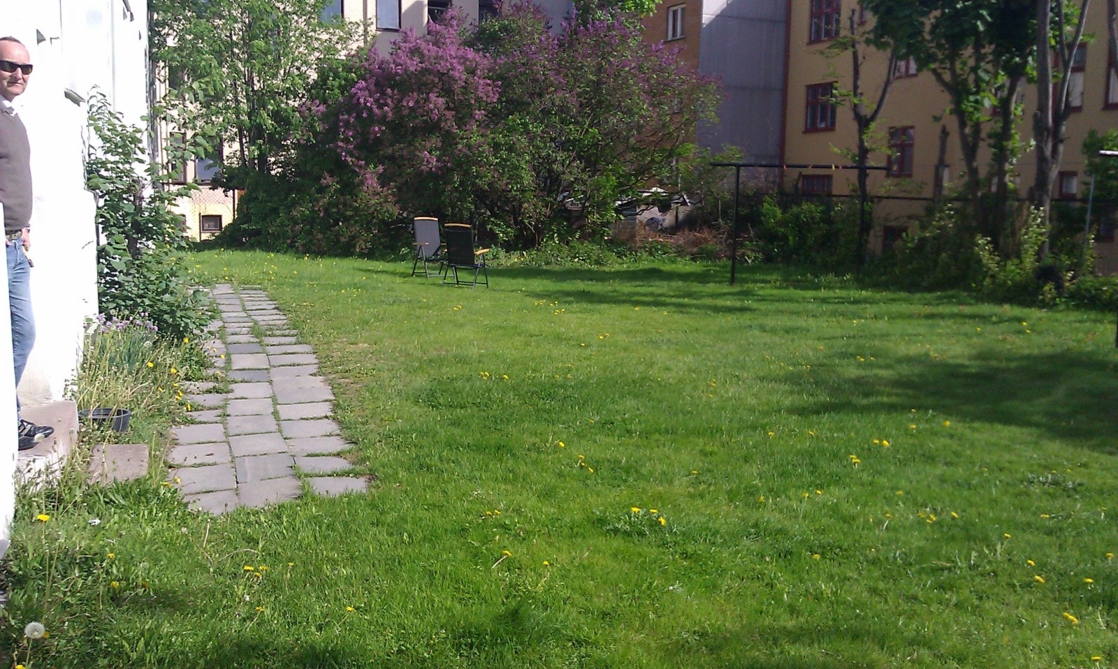 Pen grønn bakgård til felles benyttelse. Galleribilde