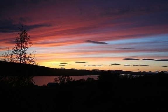 Utsikt en sommerkveld Galleribilde