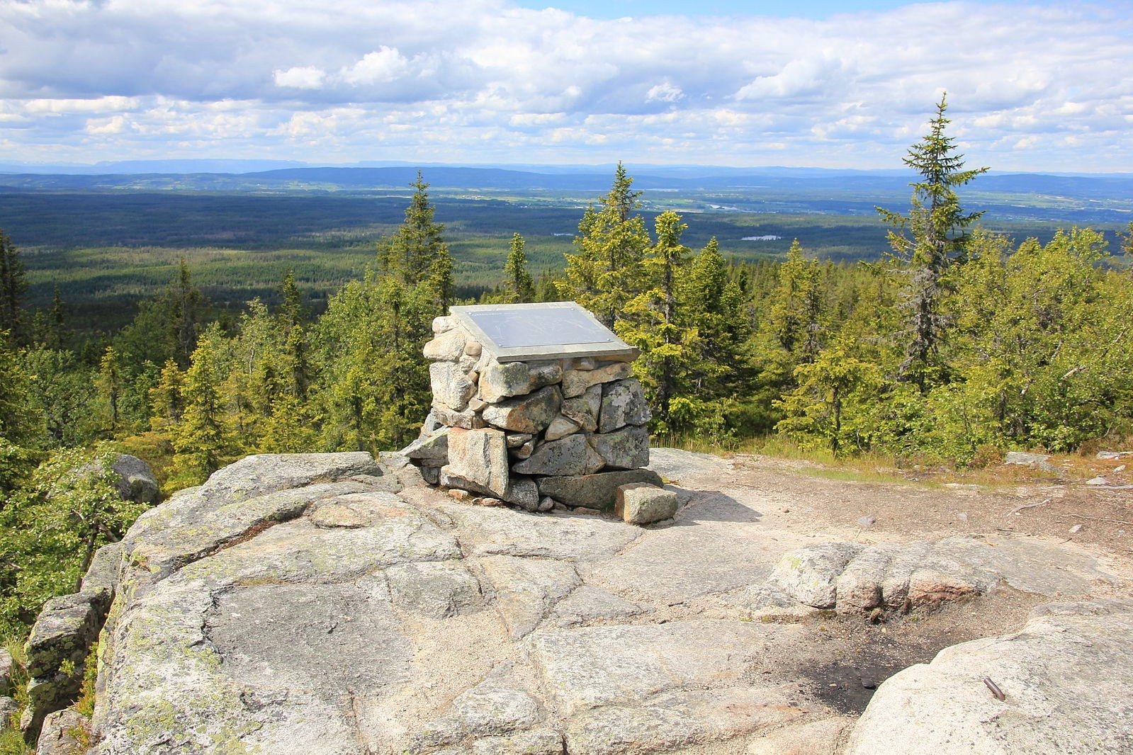 Hva med en tur på vakre Totenåsen ? Galleribilde