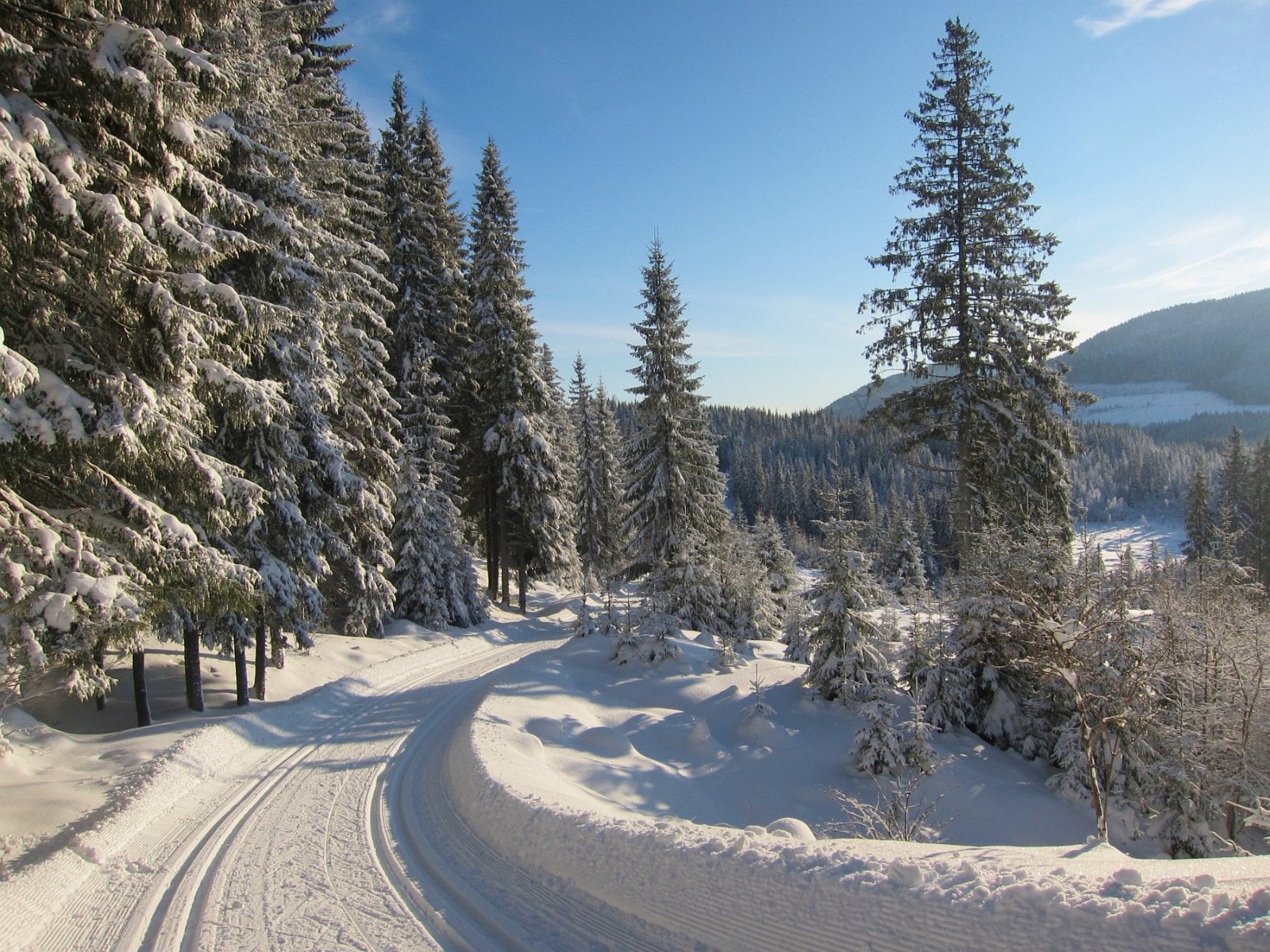 Flotte vinterbilder fra marka. Galleribilde