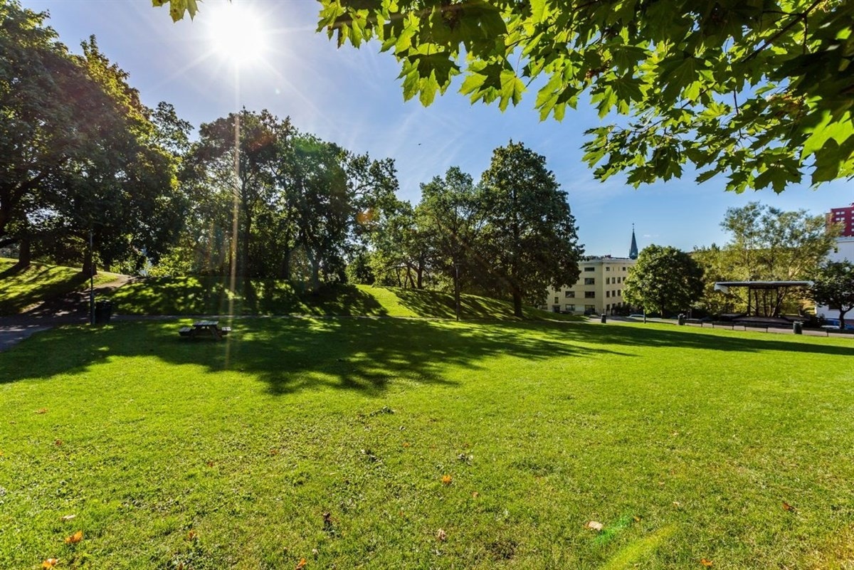 Bjølsenparken. Galleribilde
