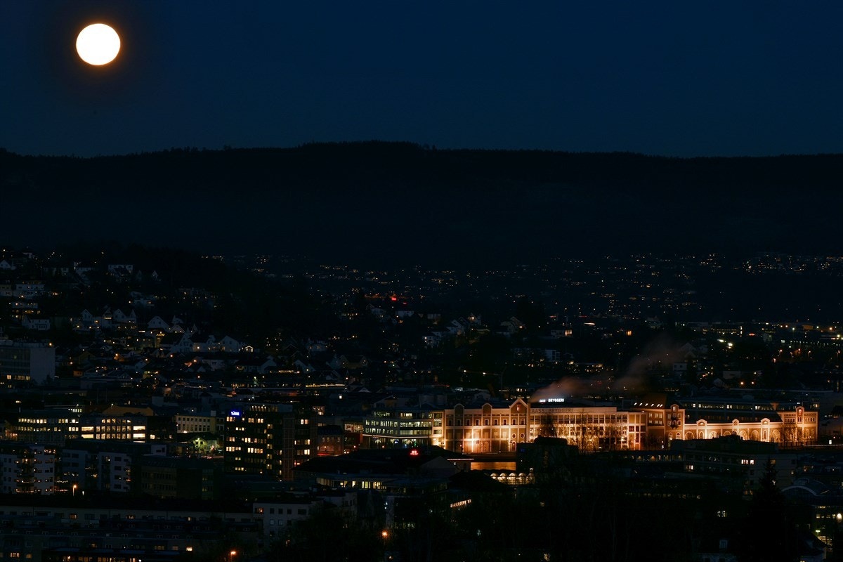 Fantastisk utsikt. Galleribilde