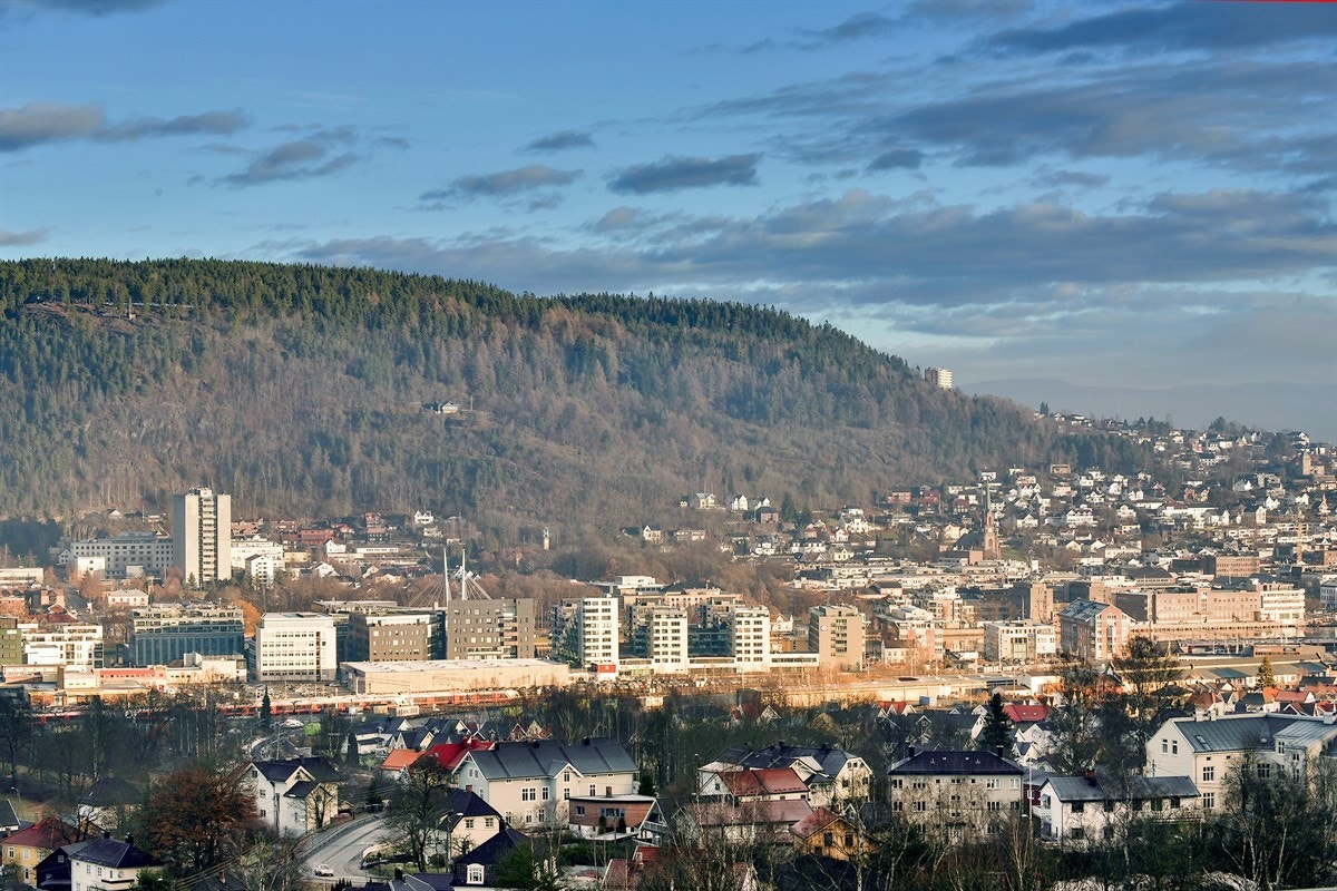Nydelig utsikt. Galleribilde
