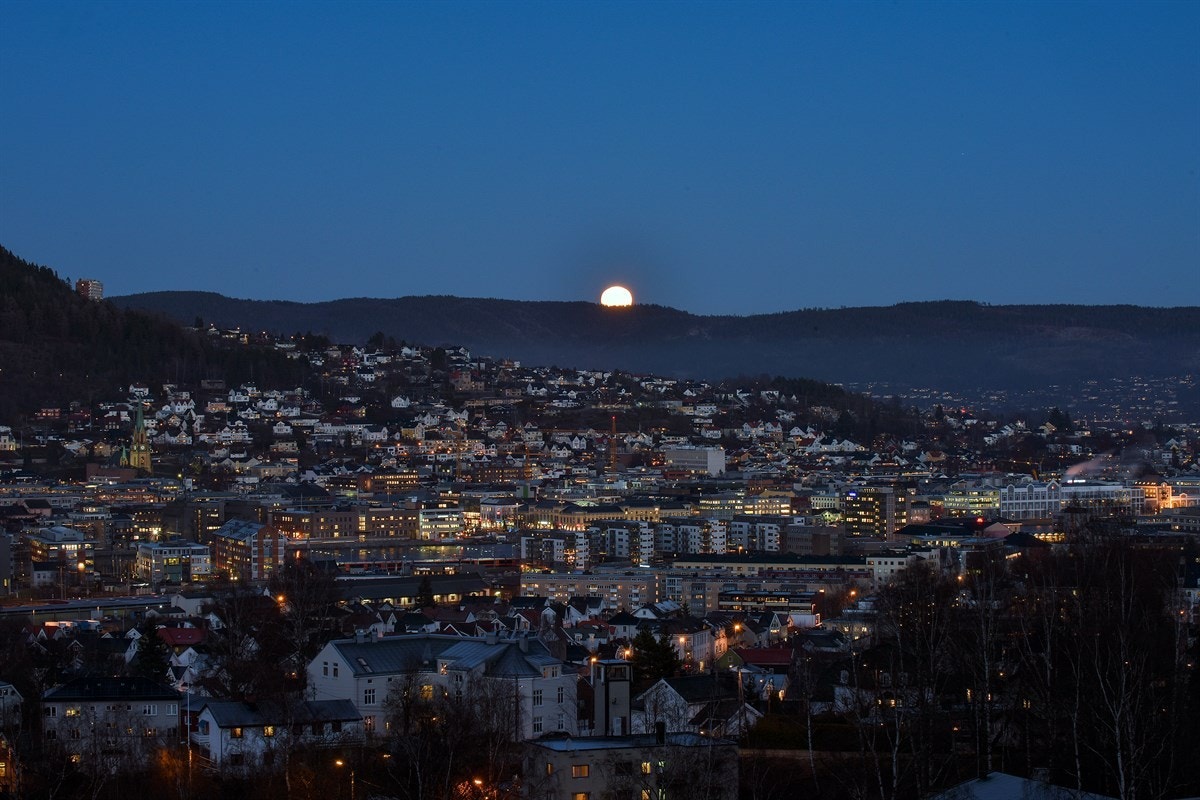 Fra hagen kan man nyte storslått utsikt over Drammenby. Galleribilde