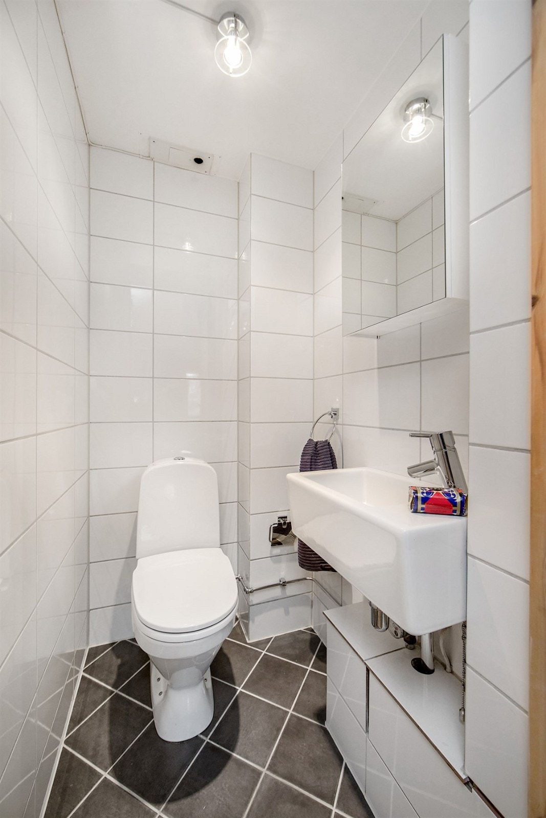 Praktisk separat WC. Galleribilde