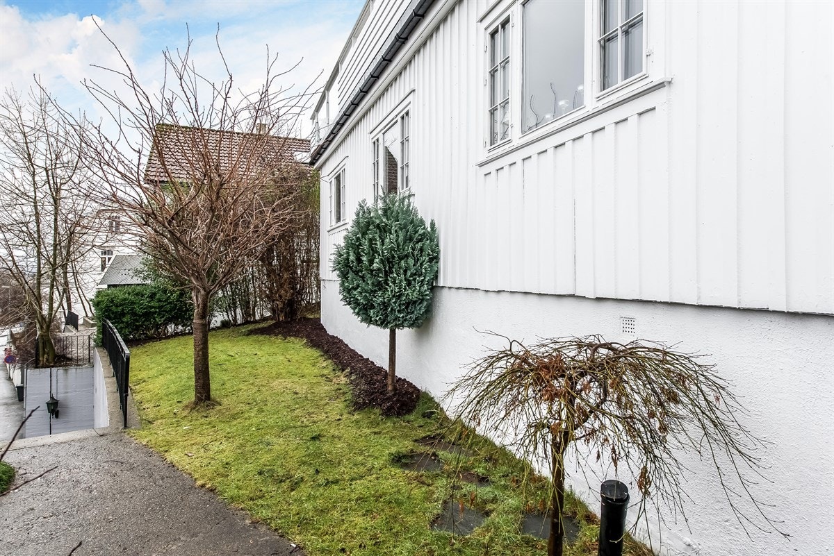 Fint opparbeidet hage med frukttre og busker. Galleribilde