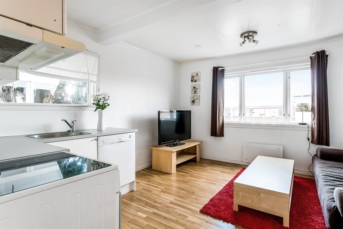 Sokkelleilighet i underetasjen. Galleribilde