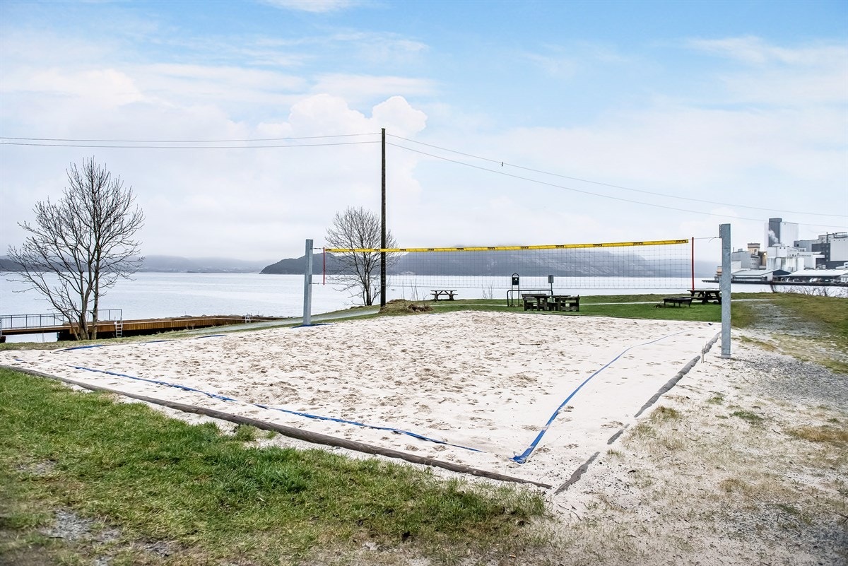 Nærområde. Galleribilde