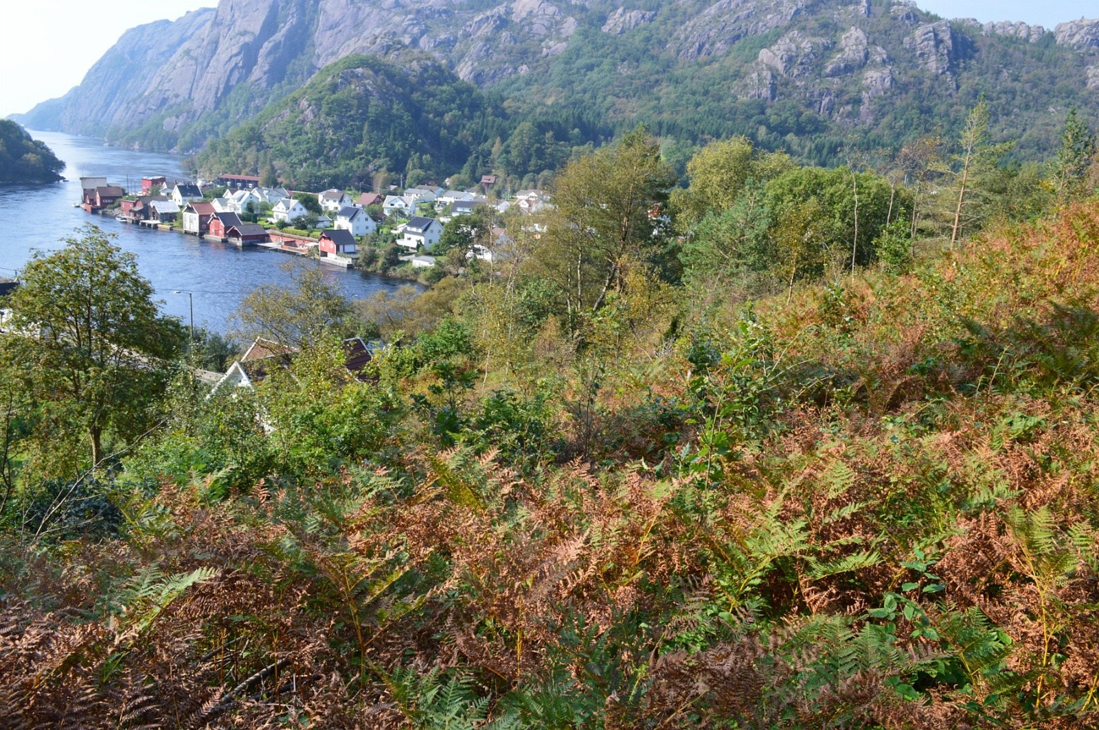 Tomt 7 utsikt Galleribilde