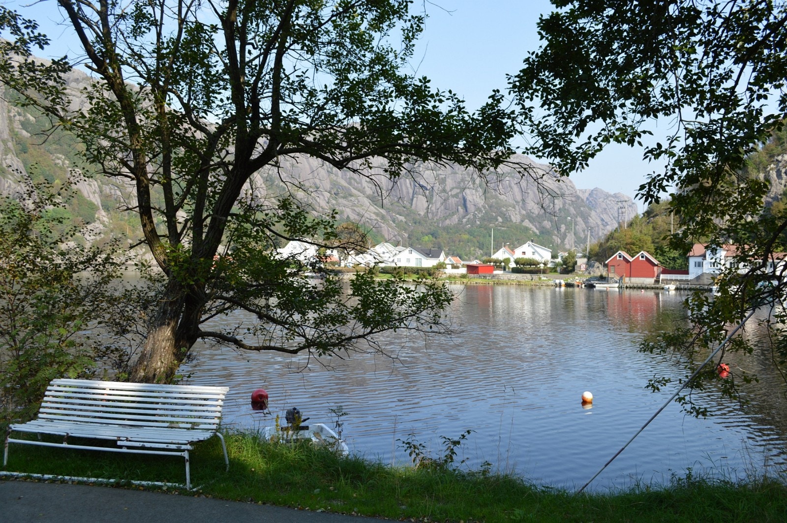 Roligheten Galleribilde