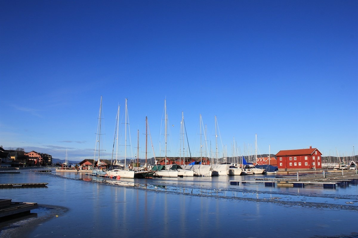 Småbåtshavn Galleribilde