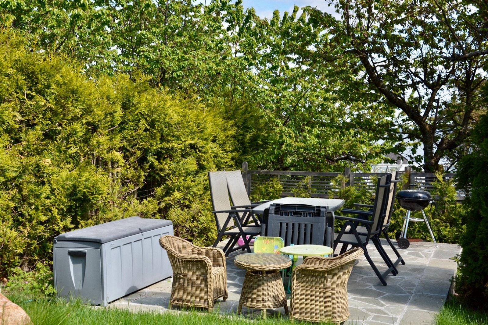 Bilder fra hagen Galleribilde