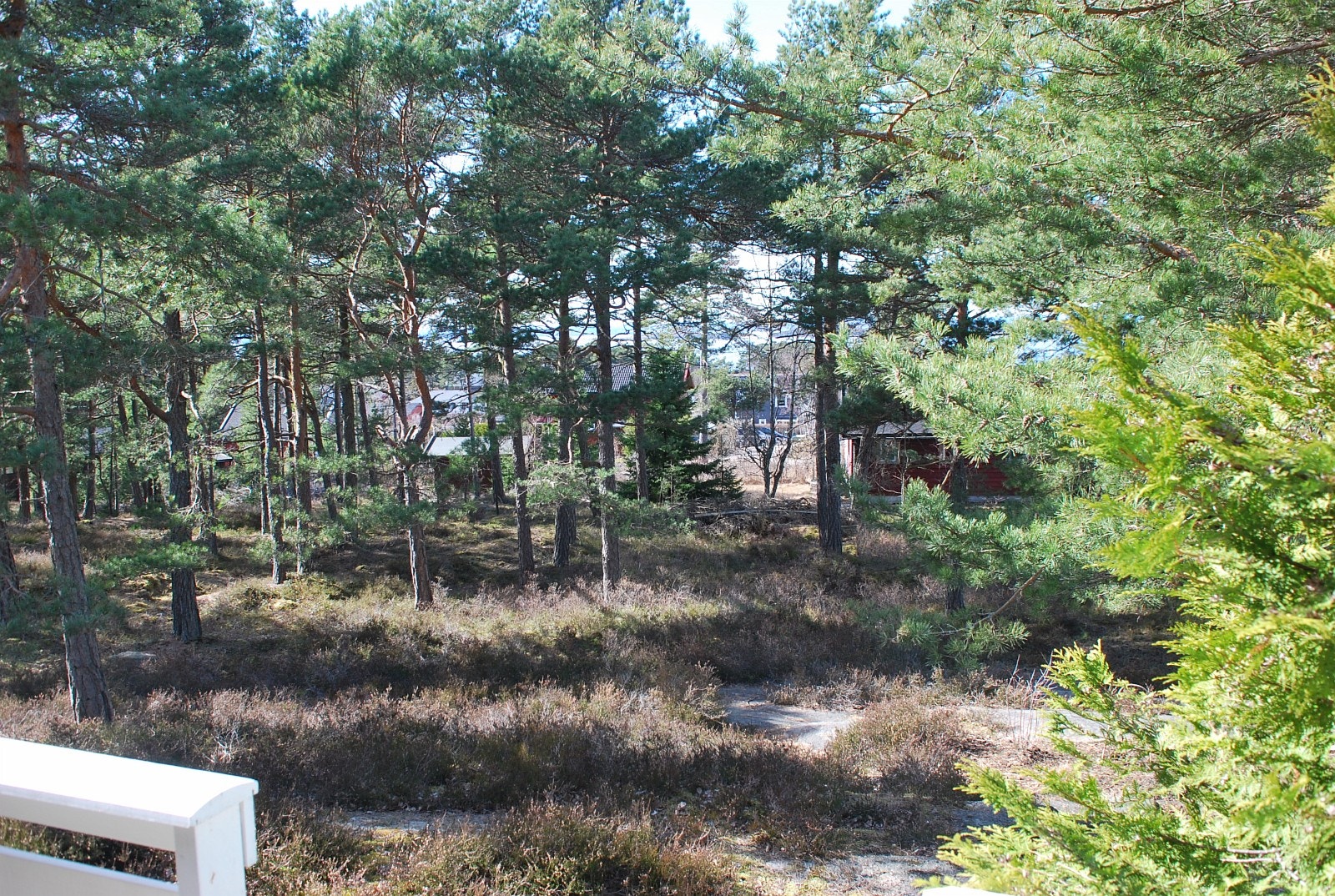 Sjøutsikt Galleribilde